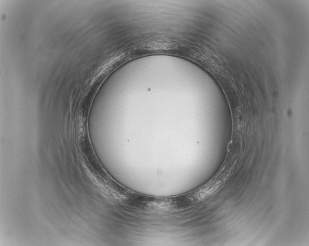 X0000057060164200510071416