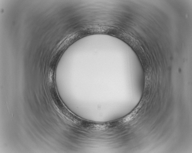 X0000057060166200510071416