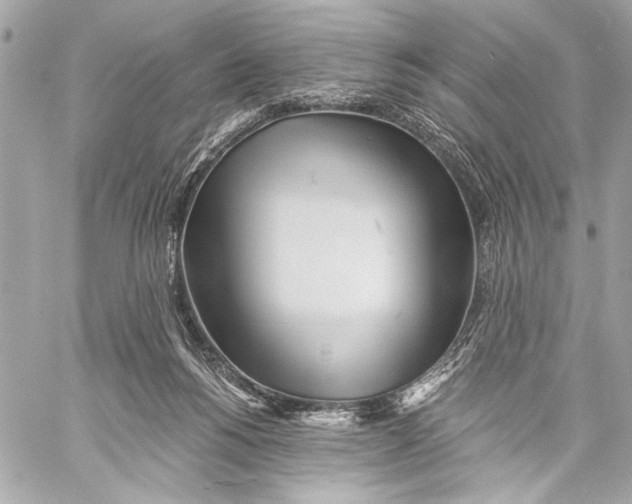 X0000057060168200510071416