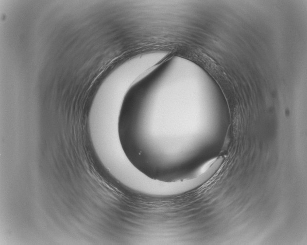 X0000057060172200510071416