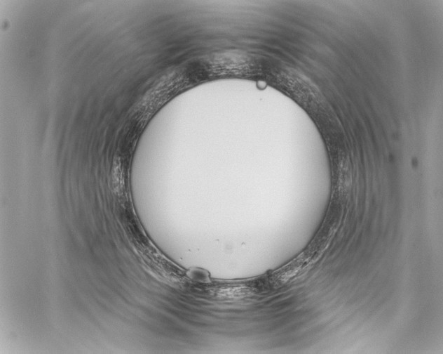 X0000057060173200510071416