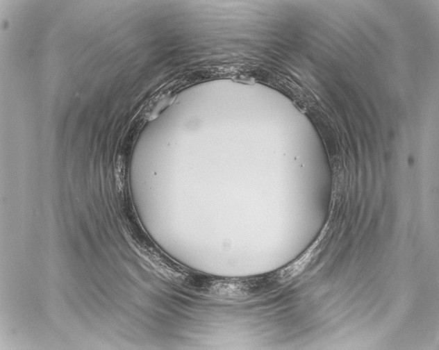 X0000057060174200510071416