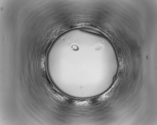 X0000057060175200510071416