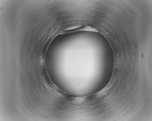 X0000057060176200510071416