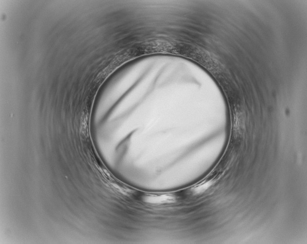 X0000057060177200510071416