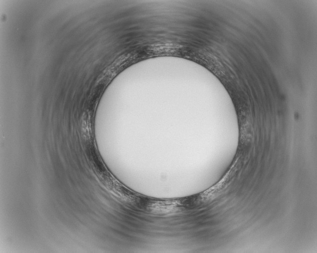 X0000057060179200510071416