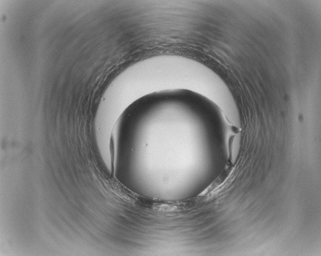 X0000057060180200510071416