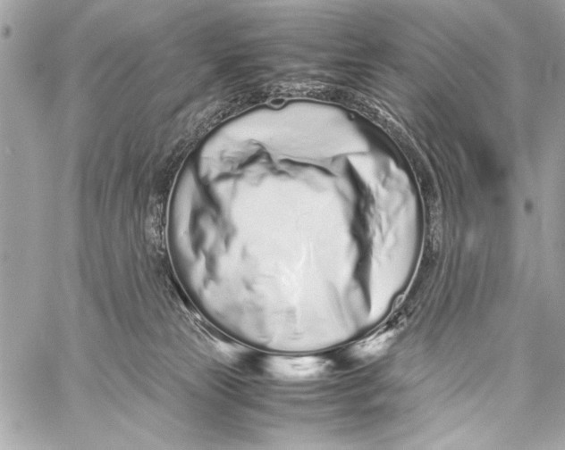 X0000057060181200510071416