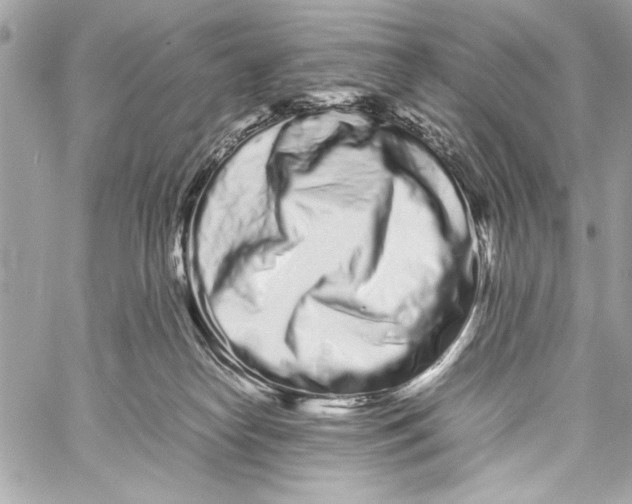 X0000057060182200510071416