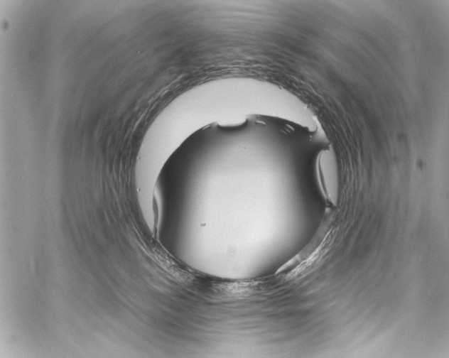 X0000057060184200510071416