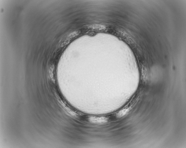 X0000057060185200510071416