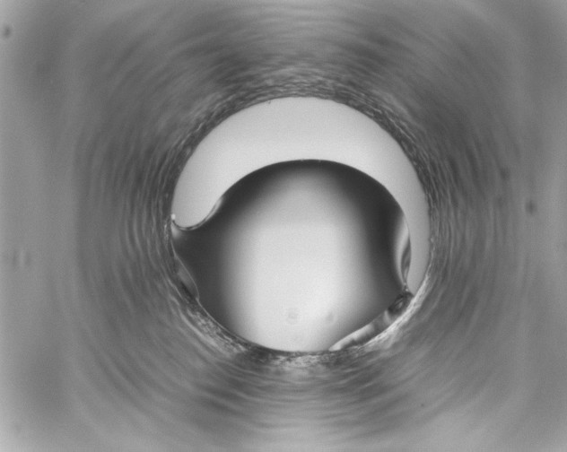 X0000057060186200510071416