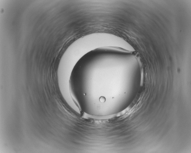 X0000057060188200510071416