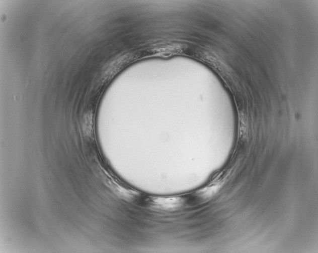 X0000057060189200510071416