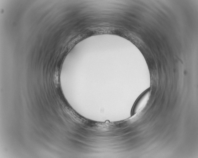 X0000057060190200510071416