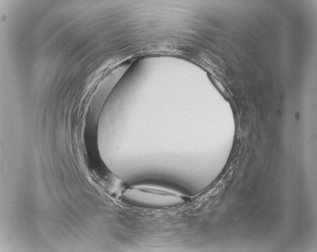 X0000057060193200510071415