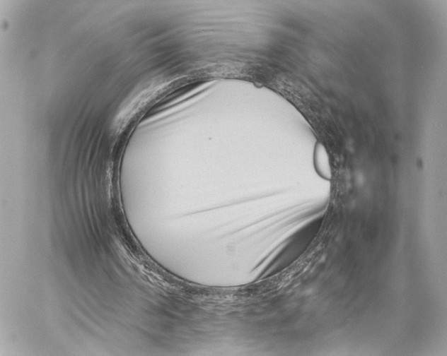 X0000057060194200510071415