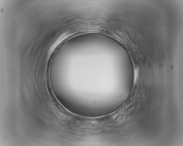 X0000057060195200510071415