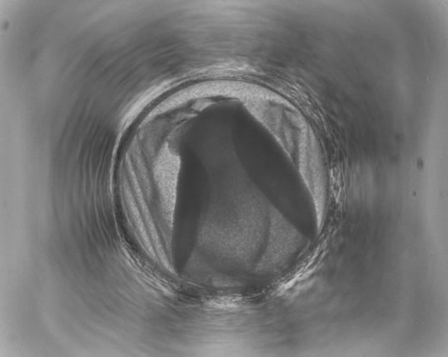 X0000057060196200510071415