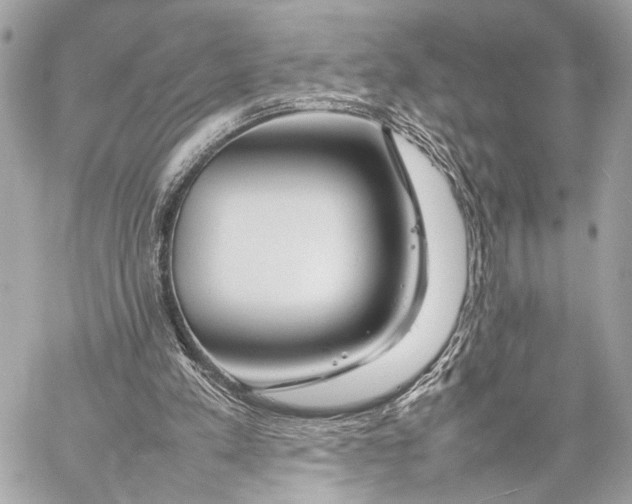 X0000057060197200510071415