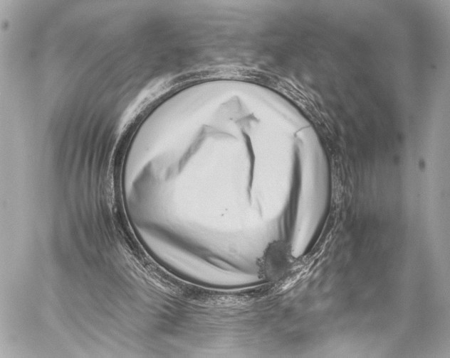 X0000057060198200510071415