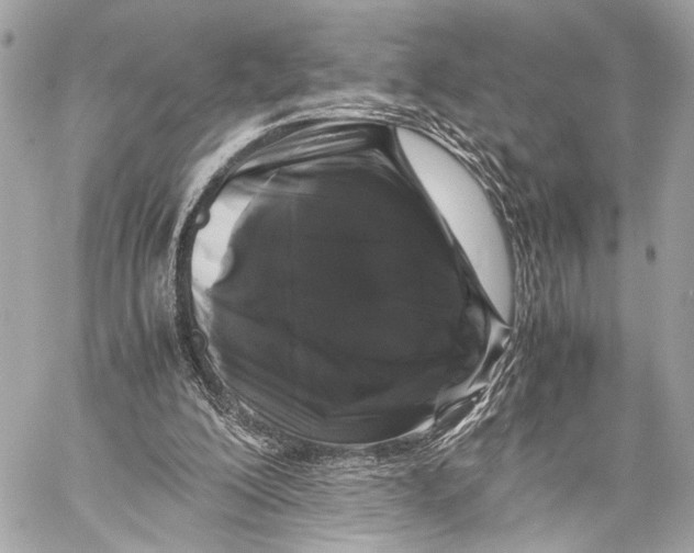 X0000057060200200510071415