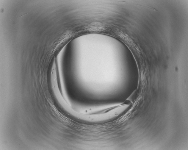 X0000057060201200510071415