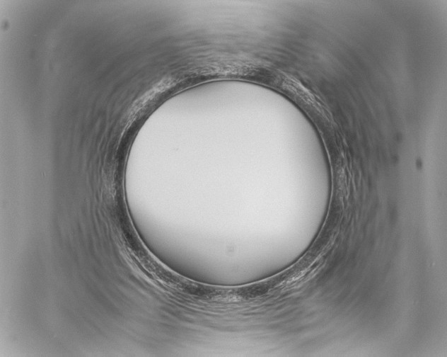 X0000057060203200510071415