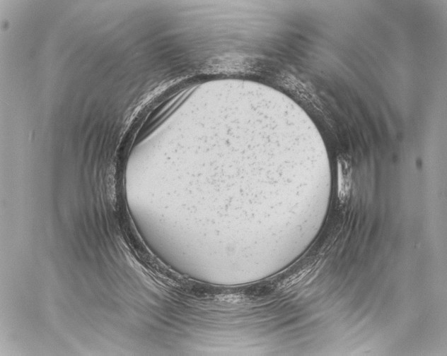 X0000057060204200510071415