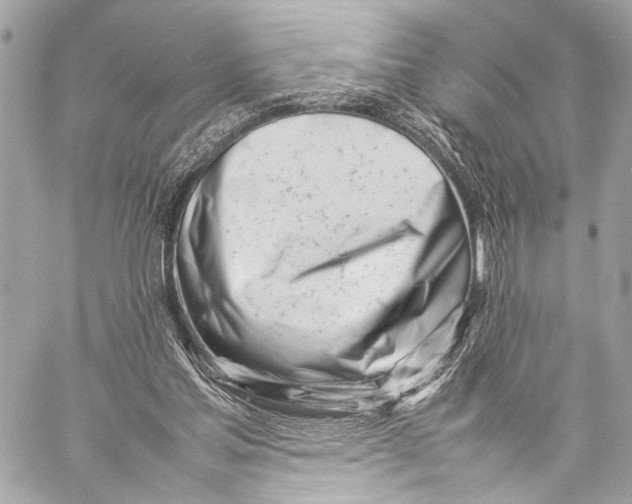 X0000057060205200510071415