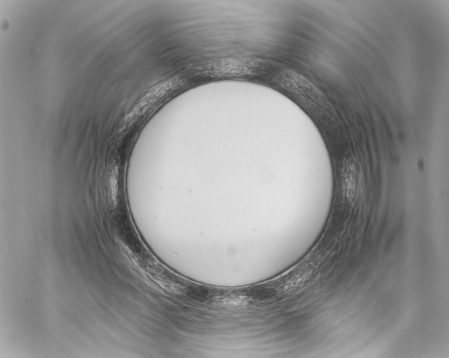 X0000057060206200510071415