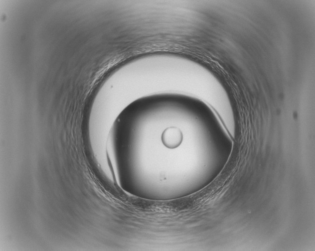 X0000057060207200510071415