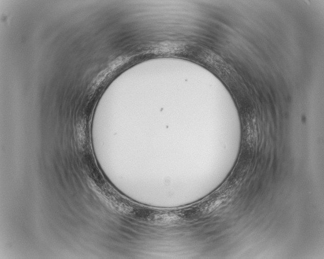 X0000057060208200510071415