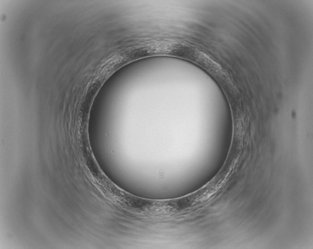 X0000057060209200510071415