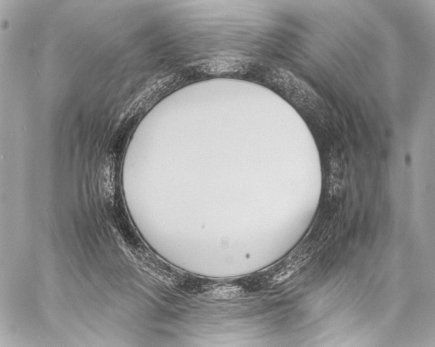 X0000057060210200510071415