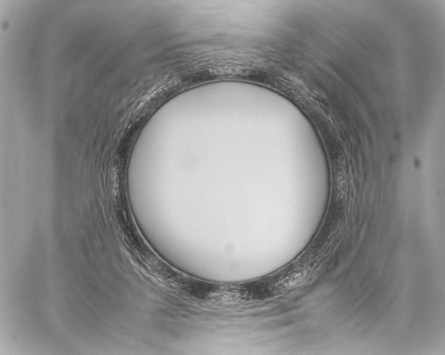 X0000057060211200510071415