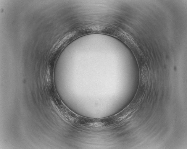 X0000057060212200510071415