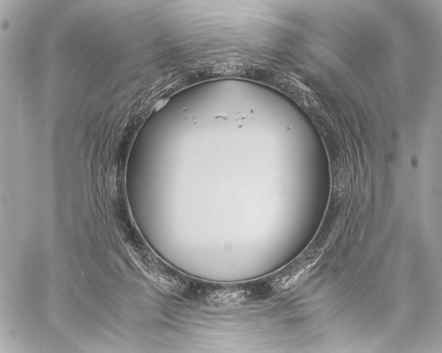 X0000057060213200510071415