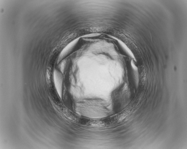 X0000057060214200510071415