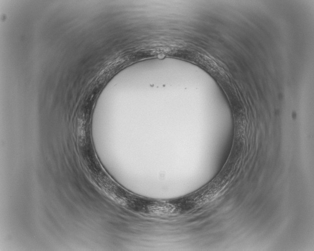 X0000057060215200510071415