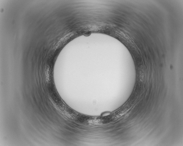 X0000057060216200510071415