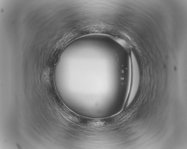 X0000057060217200510071415