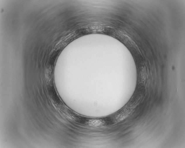 X0000057060218200510071415