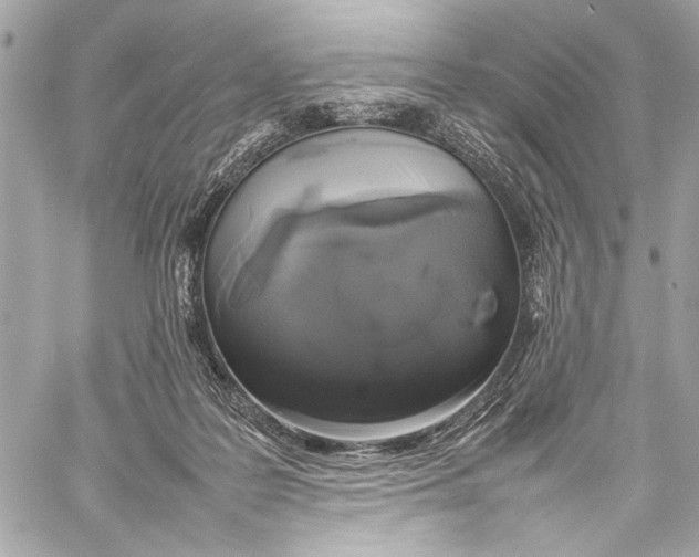 X0000057060219200510071415