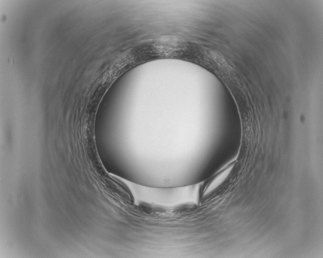 X0000057060221200510071415