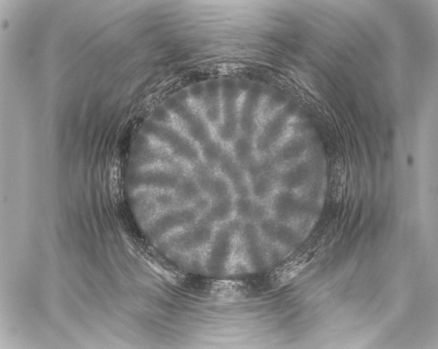 X0000057060222200510071415