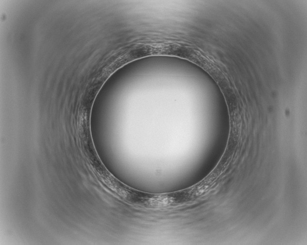 X0000057060225200510071415