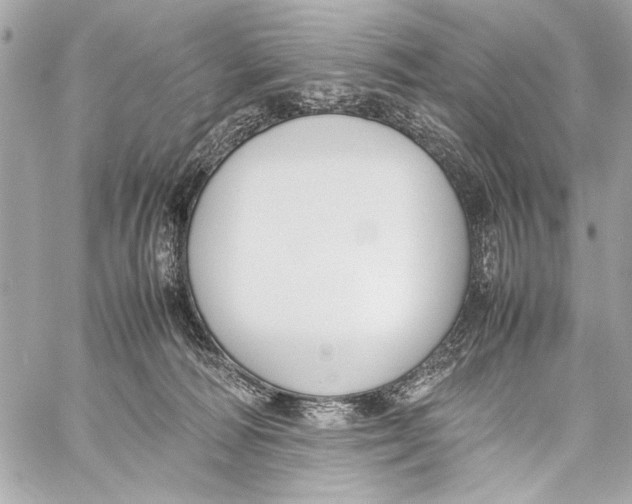 X0000057060226200510071415