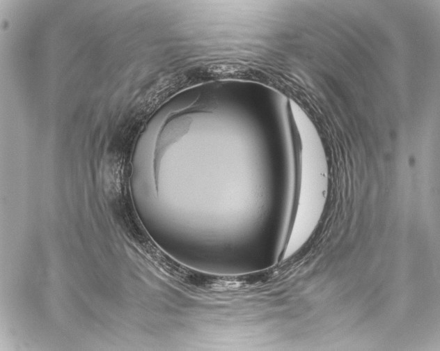 X0000057060227200510071415