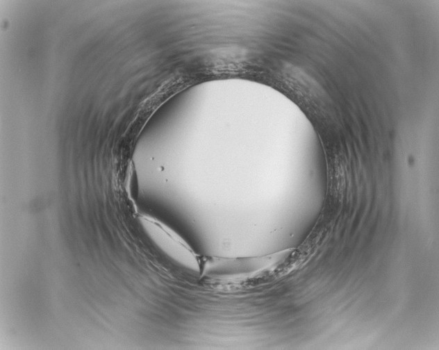 X0000057060228200510071415